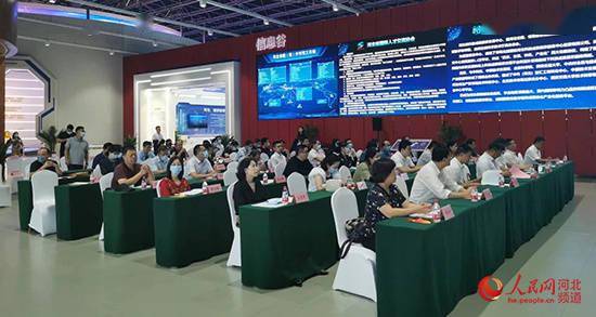 河北省举办中日韩新技术项目发布会 搭建跨国合作平台，共创产业未来